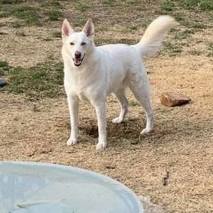 Meet your Posher, Billie